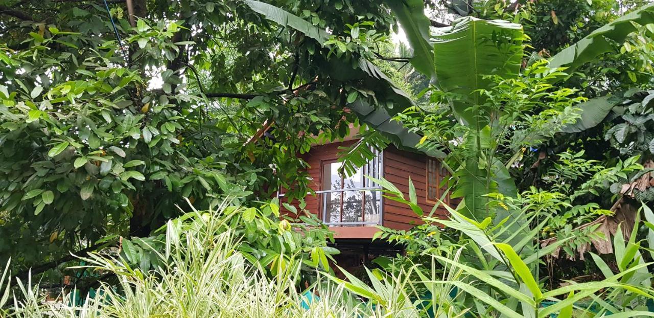 Wayanad Doubletree Villa Vythiri Exteriör bild