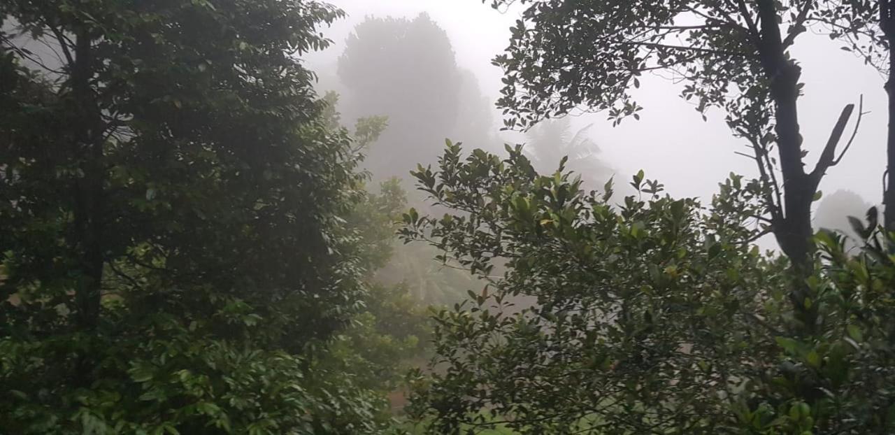 Wayanad Doubletree Villa Vythiri Exteriör bild