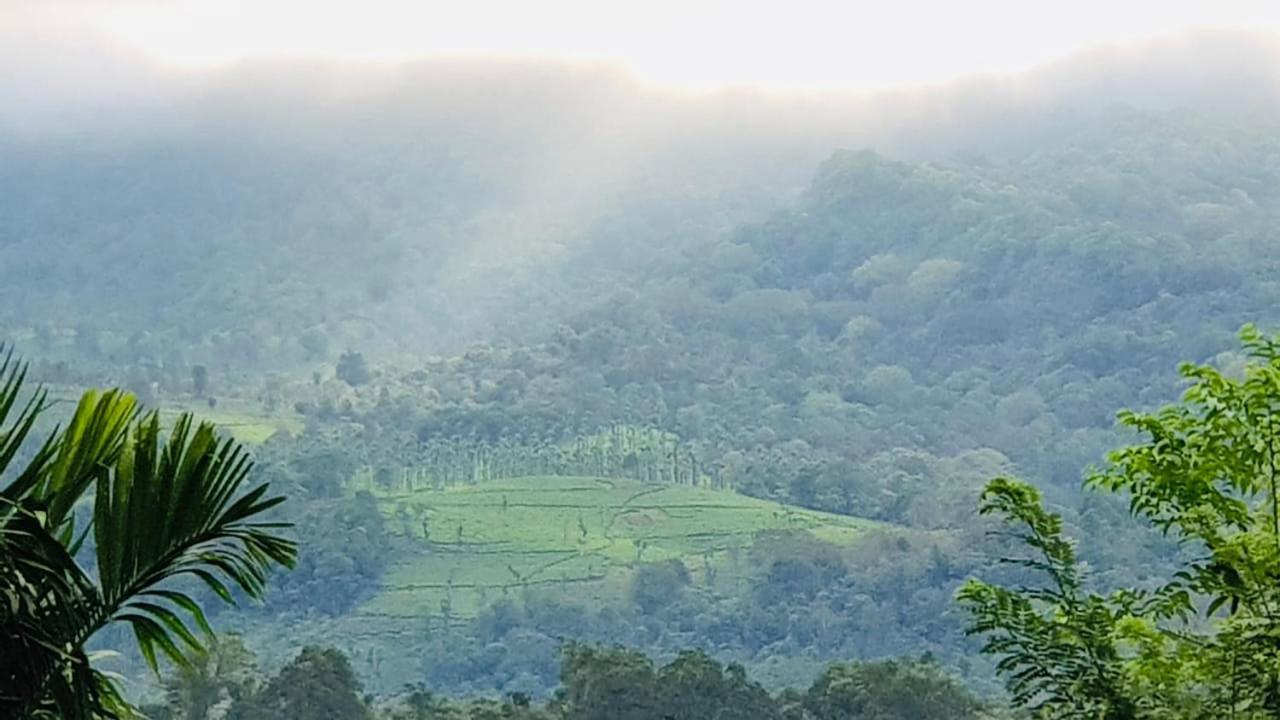 Wayanad Doubletree Villa Vythiri Exteriör bild