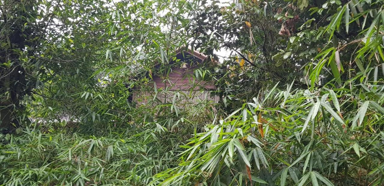 Wayanad Doubletree Villa Vythiri Exteriör bild