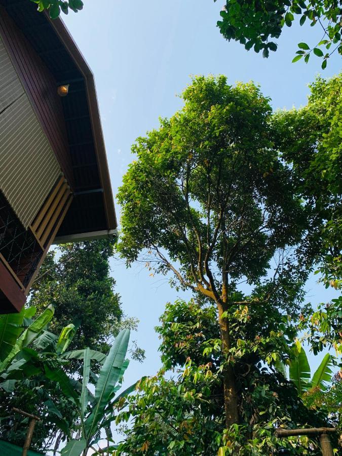 Wayanad Doubletree Villa Vythiri Exteriör bild